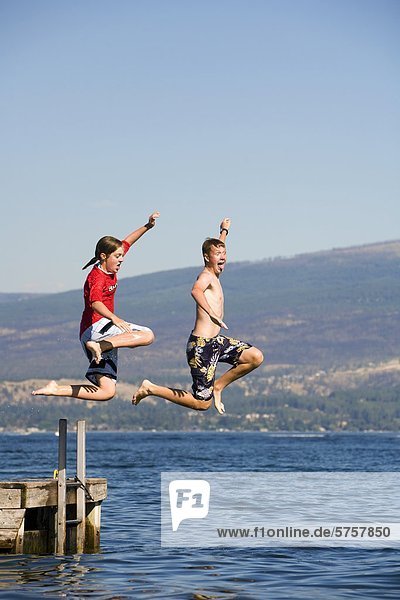 Teenagers jumping off a dock into Okanagan lake  British Columbia  Canada.