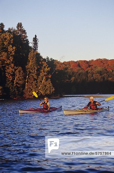 Young couple sea-kayaking in autumn  Muskoka  Ontario  Canada.