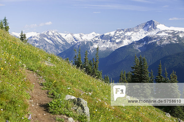 Whistler's backcountry in summer provides a stunning back-drop for many types of alpine recreation activities such as hiking and mountain  biking and trail running  British Columbia  Canada.