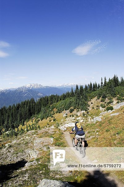 Mountain Biker begins the descent to Khyber Pass. Whistler  British Columbia  Canada.