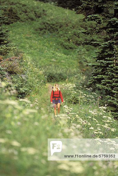 Weibliche Wanderer  Pemberton  British Columbia  Kanada.