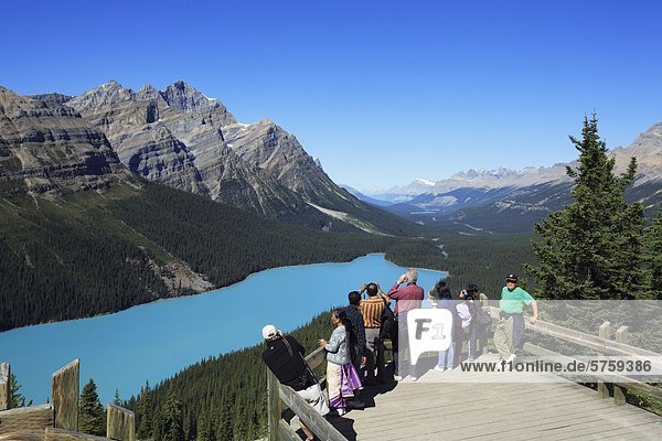 Touristen am Peyto Lake im Banff Nationalpark  Alberta  Kanada.