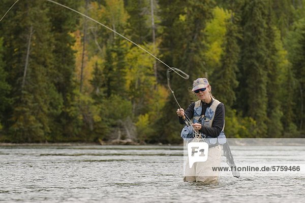 Female fly-fisherman fishing for trout on the Chilko River  Chilcotin Region  British Columbia  Canada.