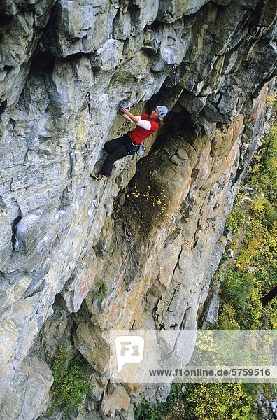 Woman climbing Dreams Be Dreams  Maternal Wall. Skaha Bluffs. Penticton  British Columbia  Canada.