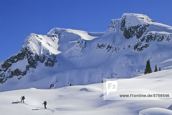 Skitouren in der Nähe von Mount Rohr  Cayoosh Creek  Coast Mountains  British Columbia  Kanada.