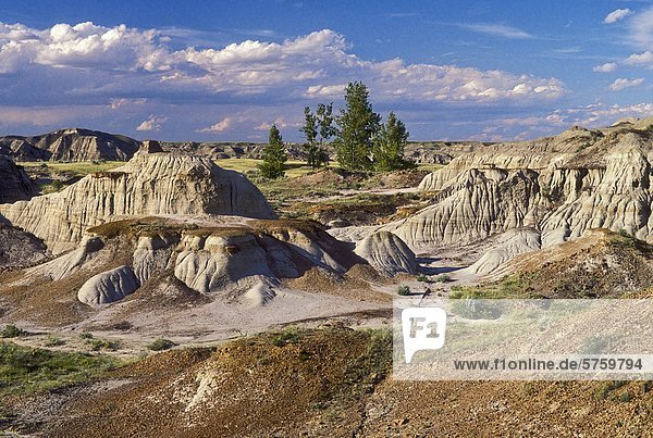 Dinosaur Provincial Park  ein UNESCO-Weltkulturerbe  bekannt für seine fossilen Dinosaurier-Betten aus der späten Kreidezeit / Alter der Reptilien   befindet sich in den Badlands von der Red Deer River Valley im Südosten der kanadischen Provinz Alberta.