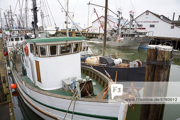 Moored boats in the harbour at Steveston (near Vancouver)  home of Canada's largest fishing fleet  British Columbia  Canada