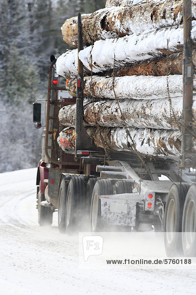 Geladenen Protokollierung LKW im Winter  Smithers  British Columbia  Kanada.