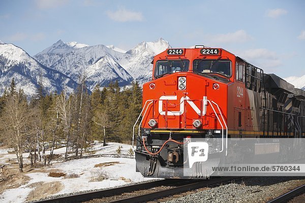 Eine CN-Lokomotive-Engine und Zug im Jasper-Nationalpark in den kanadischen Rocky Mountains  Alberta  Kanada.