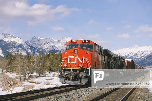 Eine CN (Canadian National) Lokomotive Engine und Zug an der CN-Bahn verfolgt  in der Nähe von Jasper  Alberta  Kanada in den kanadischen Rocky Mountains