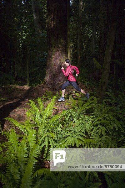 A young female trail running amongst giant cedars in Cathedral Grove Provincial Park  Vancouver Island  British Columbia  Canada