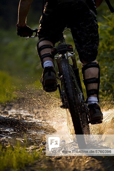 A mountain biker riding though a sunlit puddle on Idaho Peak in New Denver  British Columbia  Canada