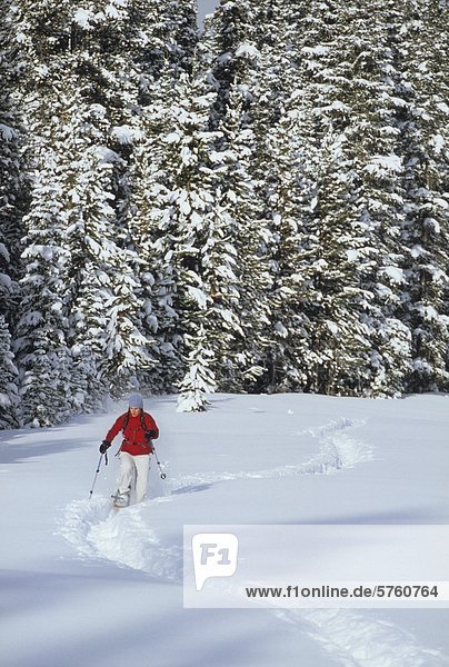 Eine weibliche Schneeschuhwanderer Spur nahe Spray Seen in Kananaskis Country Canmore Alberta Kanada