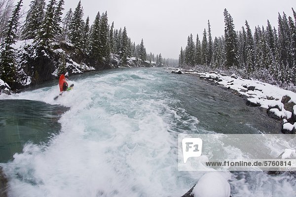 A playboater enjoying very early spring in the rapids on the Kananaskis River  Alberta  Canada