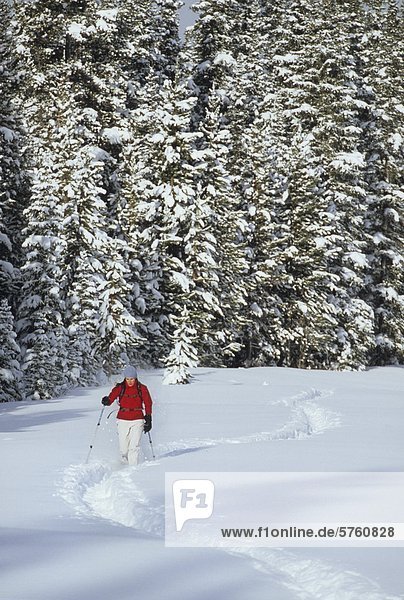 Eine junge weibliche Schneeschuhwanderer genießen ein Wintermorgen walk in Kananaskis Country Alberta Kanada