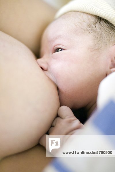 Close-up of 36 year old woman breastfeeding her newborn  Chateauguay  Quebec  Canada