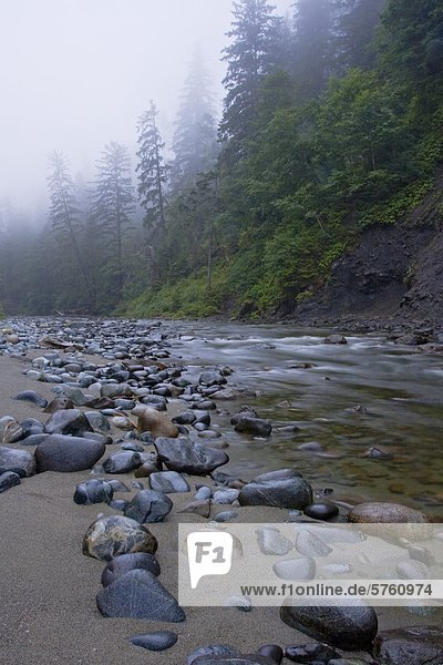 Carmanah Creek fließt in den Ozean entlang der West Coast Trail auf Vancouver Island  British Columbia  Kanada
