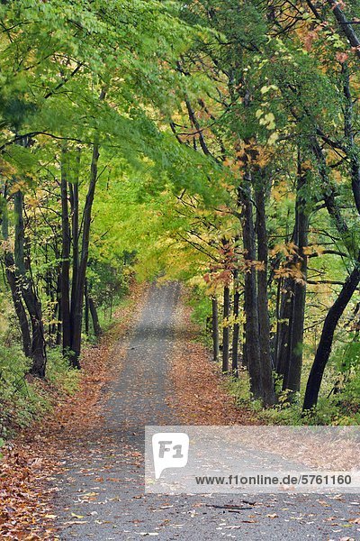 Obstgarten Hill Road im Herbst  Pelham  Ontario  Kanada