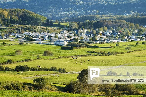 Picturesque suburb of La Malbaie in close proximity to farms and pastures  Charlevoix  Quebec  Canada