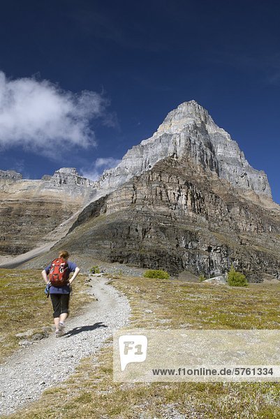 Caucasian female  Larch Valley Trail  Pinnacle Mountain  Banff National Park  Alberta  Canada