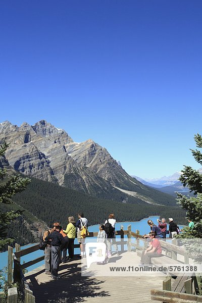 Tourists looking at Peyto Lake along the Icefields Parkway in Banff National Park  Alberta  Canada