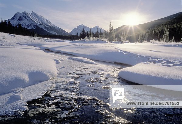 Winter-Sonnenaufgang am North Saskatchewan River in den Rocky Mountains  der Nähe Hwy 93  Banff Nationalpark  Alberta  Kanada