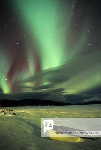 Aurora Borealis oder Nordlicht  Yukon.