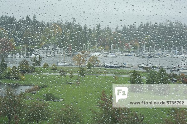 Devon Harbour Park und Vancouver Rowing Club im Regen Vancouver British Columbia Kanada