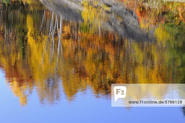Herbst Reflexionen in Junction Creek  Greater Sudbury  Ontario  Kanada