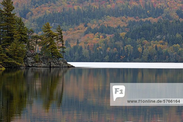See von zwei Flüssen mit Herbst Reflexionen  Algonquin Provincial Park  Ontario  Kanada