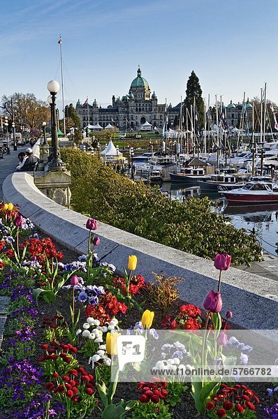 The British Columbia Legislature and Inner Harbour  Victoria  British Columbia  Canada
