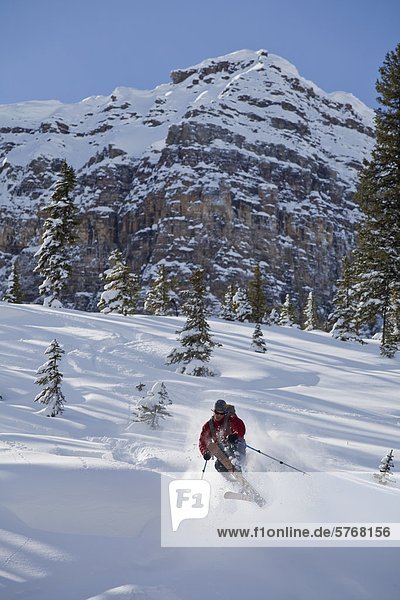 A man telemark skiing in the backcountry of the Canadian Rockies  Icefields Parkway  Banff National Park  Alberta  Canada