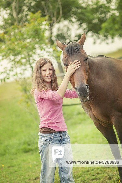 Quarter Horse  Traishof  Koenigsbach-Stein  Baden-Wuerttemberg  Germany  Europe