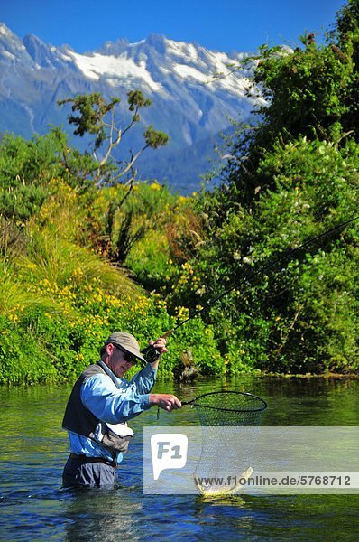 Mann fangen Fische  Spring Creek  Südinsel  Neuseeland