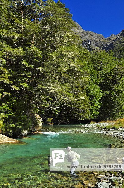 Man fly fishing  Routeburn River  South Island  New Zealand