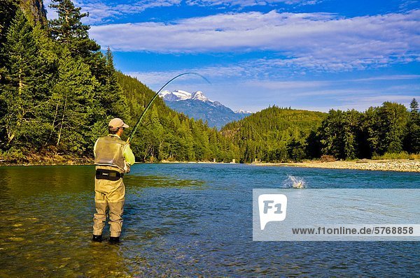 Man fly fishing  Dean River  British Columbia  Canada