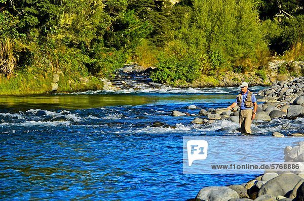 Man Fliege Fischen  Tongariro River  Neuseeland Nordinsel