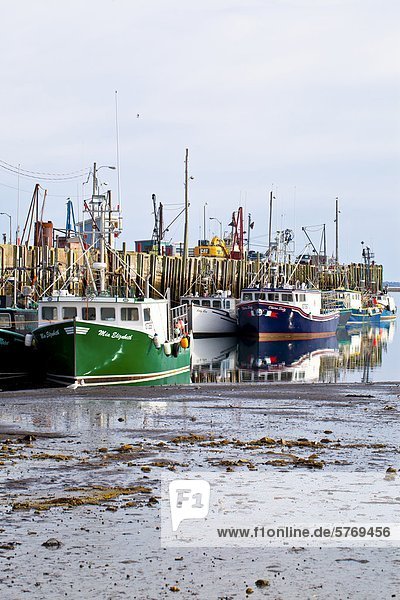 Fischerboote gefesselt nach wharf bei Ebbe  Bremerhaven  Bucht von Fundy  Nova Scotia  Kanada