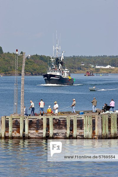 People fishing for Mackerel while fishing boat leaves Blacks Harbour  Bay of Fundy  New Brunswick  Canada