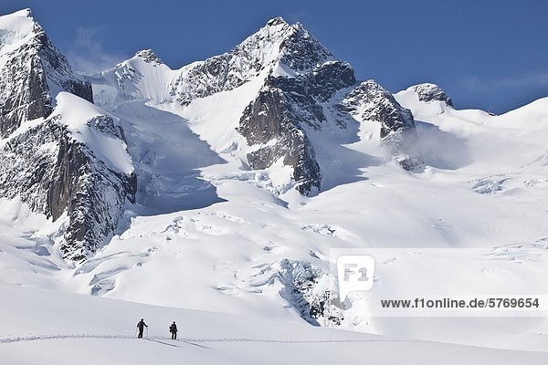 Backcountry skiers ski touring in the Selkirk Range near the Fairy Meadows Backcountry hut  British Columbia  Canada.