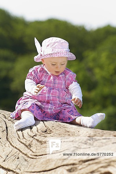 Weibliches Baby sitzt auf einem Baumstumpf