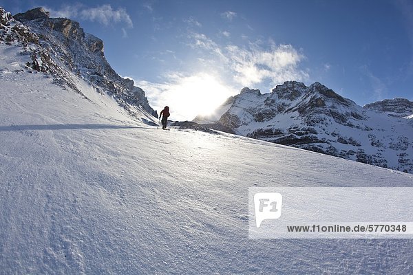 Ein Mann-Ski Touren entlang der Französisch/Haig Robertson durchqueren  Peter Lougheed Provinicial Park  Kananaskis  Alberta  Kanada