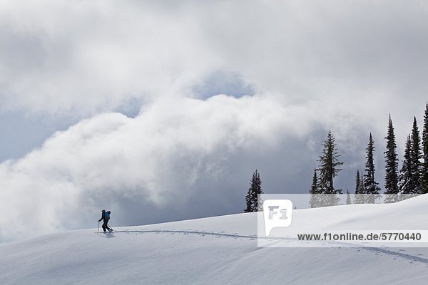 Berg  Mann  Tagesausflug  Lodge  Landhaus  Ski  British Columbia  Kanada