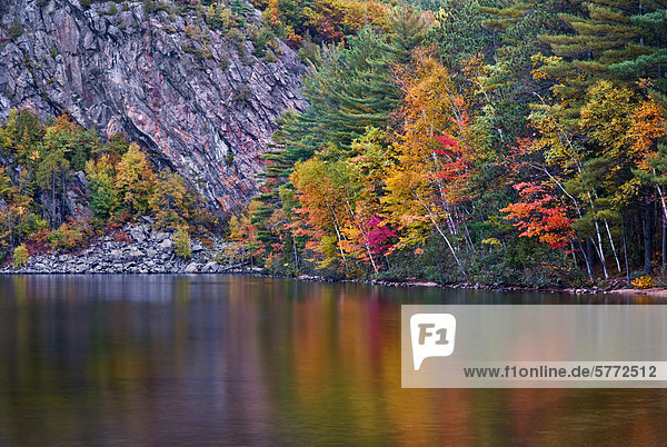 Herbst Farbe am Mazinaw-See neben Bon Echo Rock in Ontarios Bon Echo Provincial Park in der Nähe von Cloyne  Ontario  Kanada