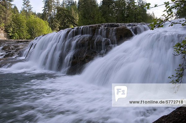 Stotan Falls  Puntledge River in Comox Valley  Vancouver Island  British Columbia  Kanada