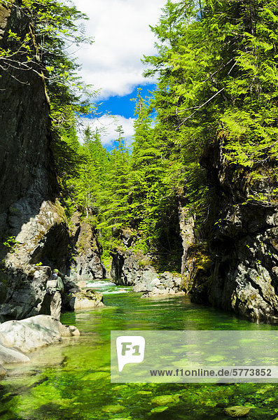 Herber River  Vancouver Island  British Columbia  Canada