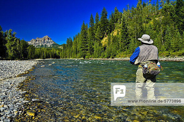 Fly fishing on the Bull River  British Columbia  Canada