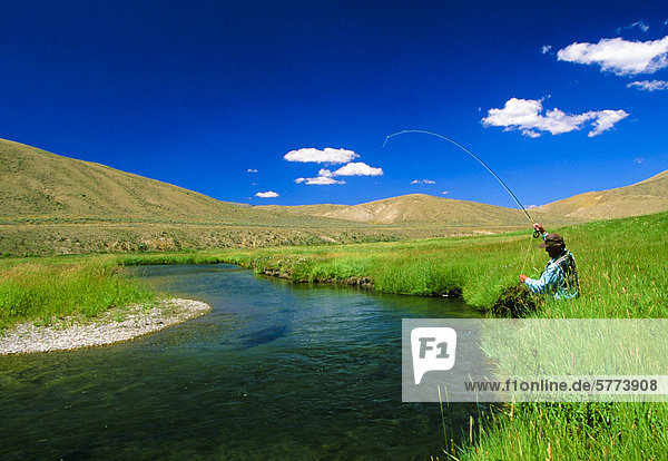 Mann  Fliegenfischen  Sheep Creek  Montana  Vereinigte Staaten von Amerika
