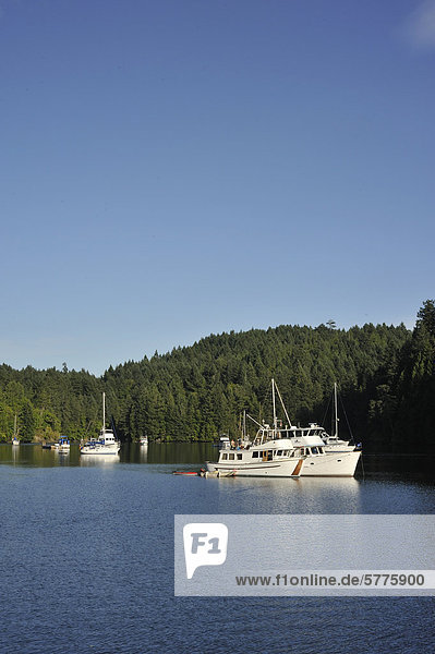 Verankerten Boote  Tod Inlet aus Saanich Inlet  Vancouver Island  British Columbia  Kanada
