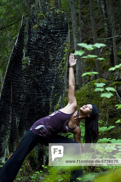 Eine Frau übt Yoga nahe dem Clearwater River  Clearwater  Britisch-Kolumbien  Kanada